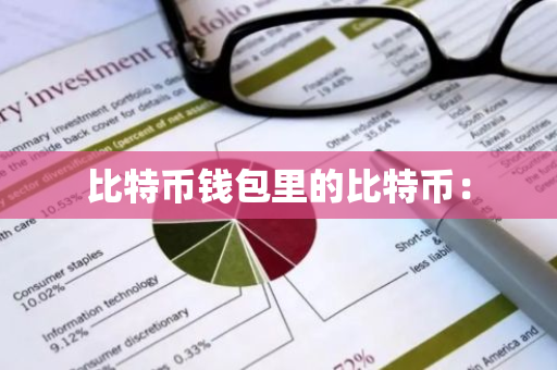 比特币钱包里的比特币：