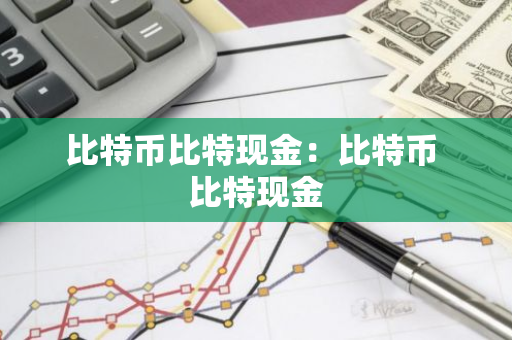 比特币比特现金：比特币 比特现金