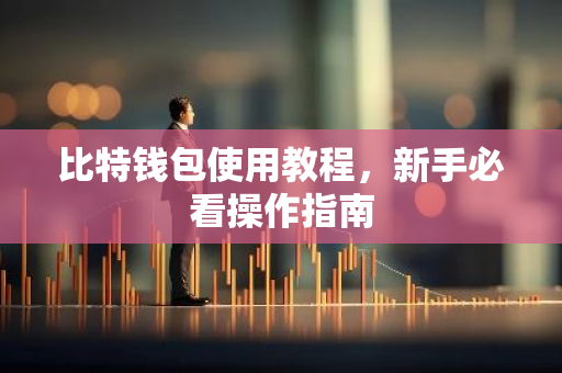 比特钱包使用教程,新手必看操作指南-第1张图片-智财锋资讯网 比特钱包使用教程,新手必看操作指南-第1张图片-智财锋资讯网