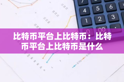比特币平台上比特币：比特币平台上比特币是什么