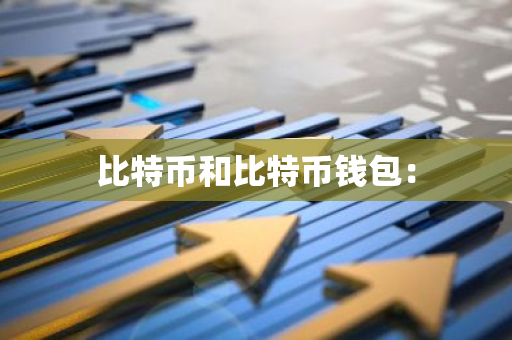比特币和比特币钱包：