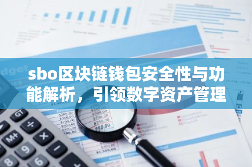 sbo区块链钱包安全性与功能解析，引领数字资产管理新潮流-第1张图片-智财锋资讯网