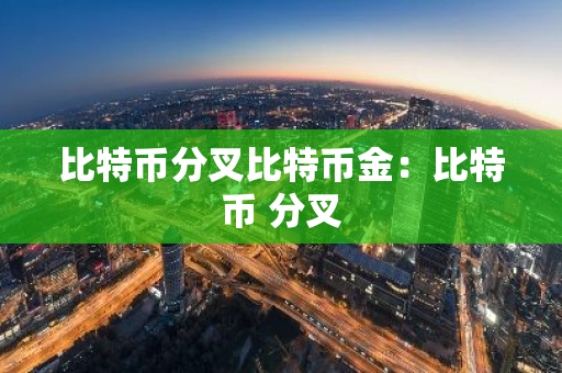 比特币分叉比特币金:比特币 分叉-第1张图片-智财锋资讯网 比特币分叉比特币金:比特币 分叉-第1张图片-智财锋资讯网
