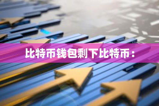 比特币钱包剩下比特币：