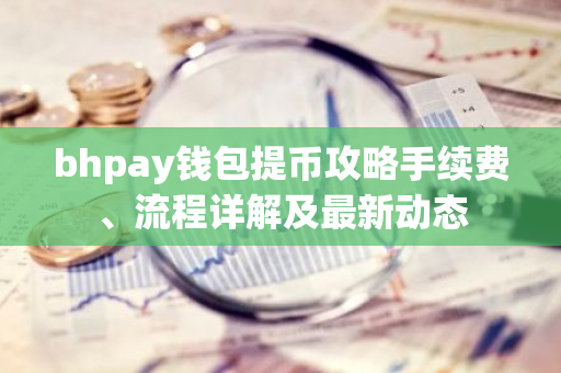bhpay钱包提币攻略手续费、流程详解及最新动态
