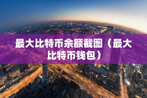 最大比特币余额截图（最大比特币钱包）