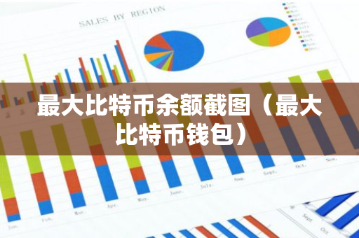 最大比特币余额截图（最大比特币钱包）