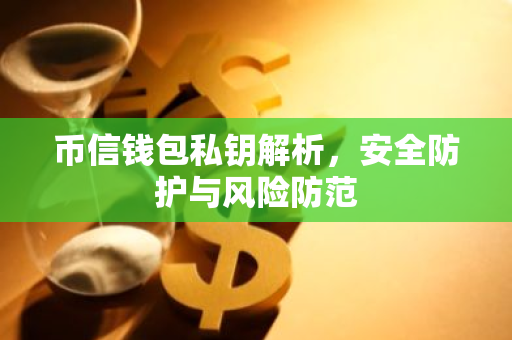 币信钱包私钥解析，安全防护与风险防范