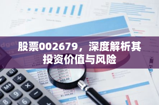 股票002679，深度解析其投资价值与风险