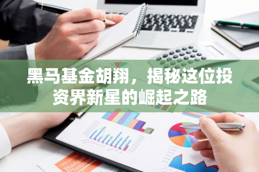 黑马基金胡翔，揭秘这位投资界新星的崛起之路