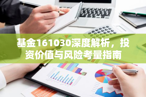 基金161030深度解析，投资价值与风险考量指南