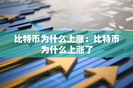 比特币为什么上涨：比特币为什么上涨了