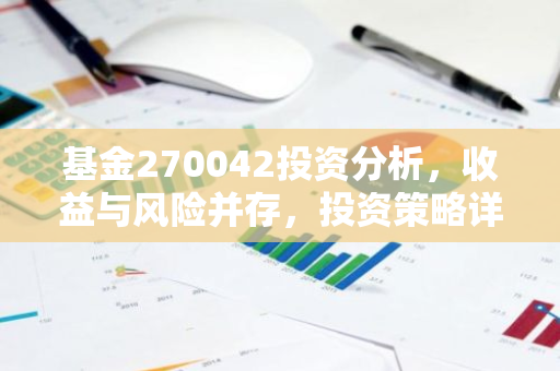 基金270042投资分析，收益与风险并存，投资策略详解