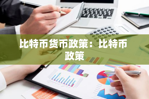 比特币货币政策：比特币 政策
