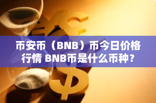 币安币（BNB）币今日价格行情 BNB币是什么币种？