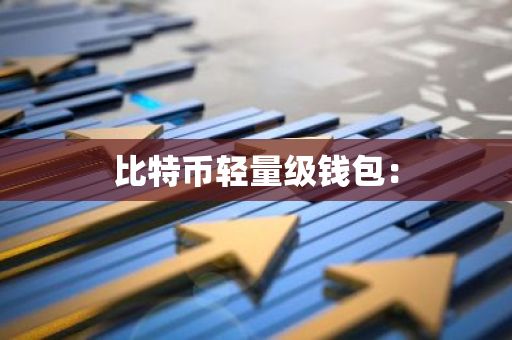 比特币轻量级钱包：-第1张图片-智财锋资讯网