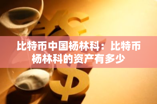 比特币中国杨林科：比特币杨林科的资产有多少-第1张图片-智财锋资讯网