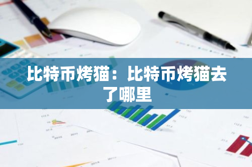 比特币烤猫：比特币烤猫去了哪里