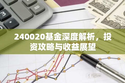 240020基金深度解析，投资攻略与收益展望