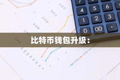 比特币钱包升级：