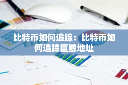 比特币如何追踪：比特币如何追踪巨鲸地址-第1张图片-智财锋资讯网