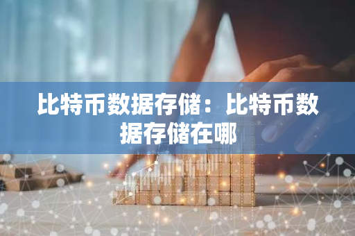 比特币数据存储：比特币数据存储在哪-第1张图片-智财锋资讯网