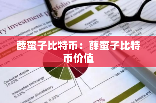 薛蛮子比特币：薛蛮子比特币价值