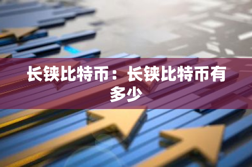 长铗比特币：长铗比特币有多少-第1张图片-智财锋资讯网
