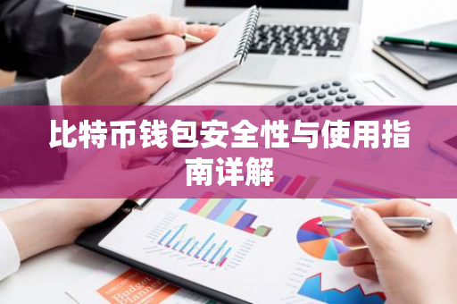 比特币钱包安全性与使用指南详解