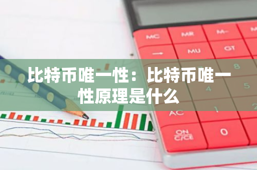 比特币唯一性：比特币唯一性原理是什么