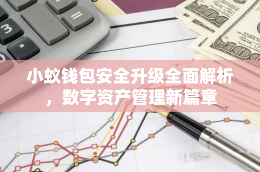 小蚁钱包安全升级全面解析，数字资产管理新篇章-第1张图片-智财锋资讯网