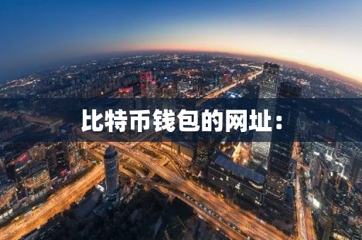 比特币钱包的网址：-第1张图片-智财锋资讯网