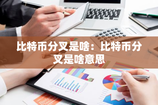 比特币分叉是啥:比特币分叉是啥意思-第1张图片-智财锋资讯网 比特币分叉是啥:比特币分叉是啥意思-第1张图片-智财锋资讯网