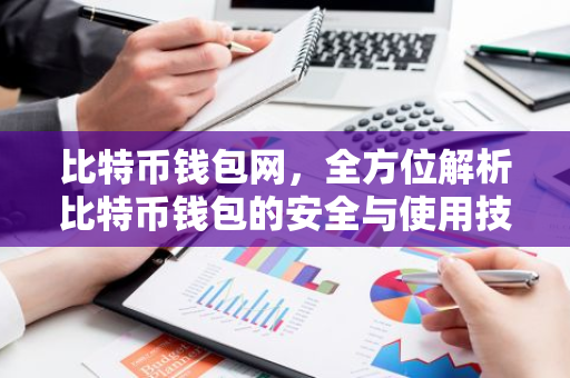 比特币钱包网，全方位解析比特币钱包的安全与使用技巧-第1张图片-智财锋资讯网
