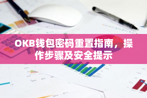 OKB钱包密码重置指南，操作步骤及安全提示