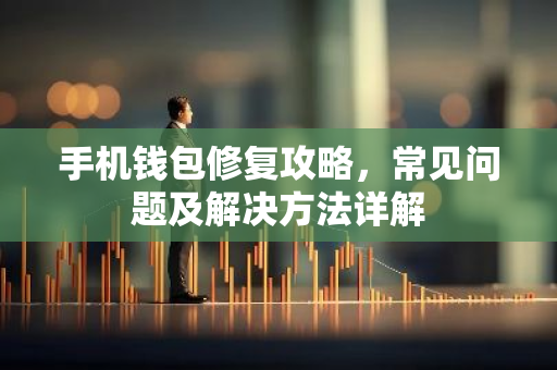手机钱包修复攻略，常见问题及解决方法详解