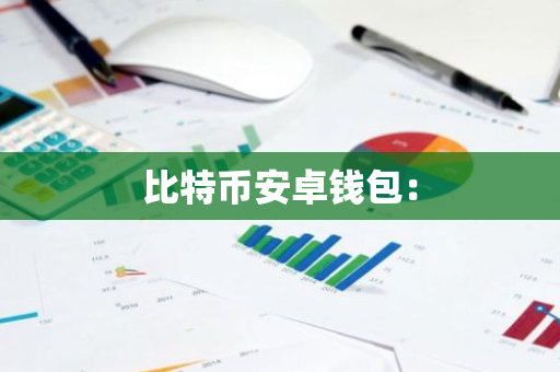 比特币安卓钱包：
