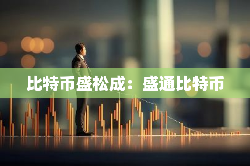 比特币盛松成：盛通比特币