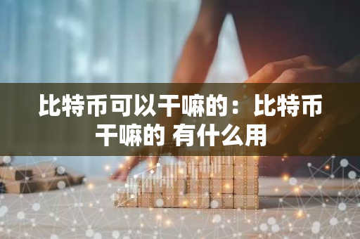 比特币可以干嘛的：比特币干嘛的 有什么用-第1张图片-智财锋资讯网