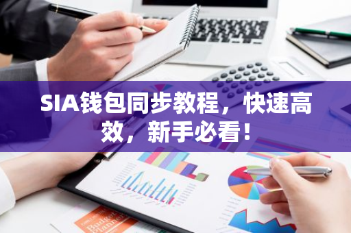 SIA钱包同步教程，快速高效，新手必看！