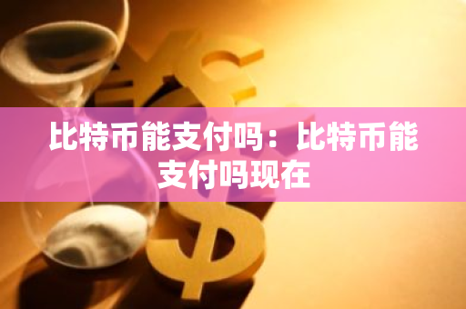 比特币能支付吗：比特币能支付吗现在