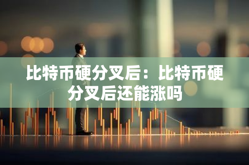 比特币硬分叉后：比特币硬分叉后还能涨吗
