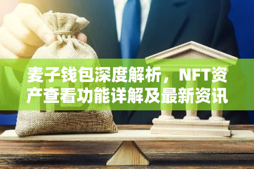 麦子钱包深度解析，NFT资产查看功能详解及最新资讯