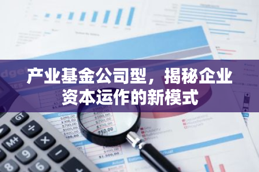 产业基金公司型，揭秘企业资本运作的新模式