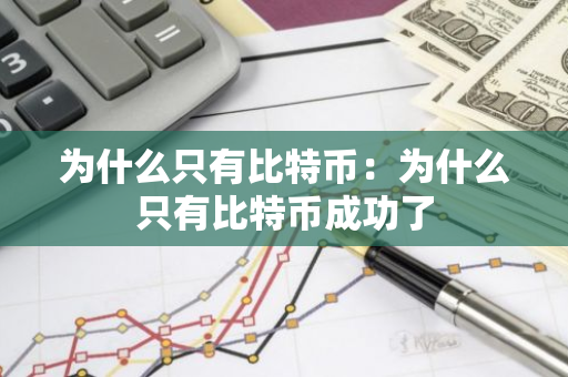 为什么只有比特币：为什么只有比特币成功了