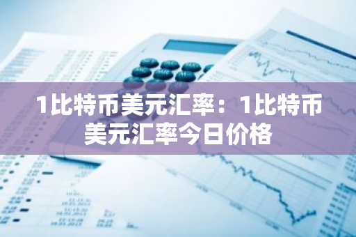 1比特币美元汇率：1比特币美元汇率今日价格