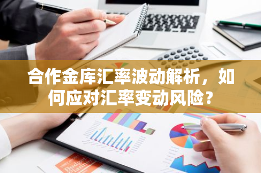 合作金库汇率波动解析，如何应对汇率变动风险？