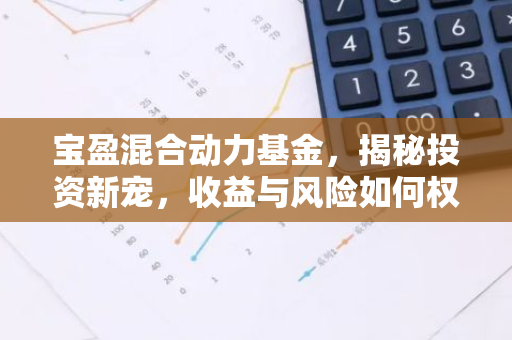 宝盈混合动力基金，揭秘投资新宠，收益与风险如何权衡？