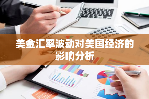 美金汇率波动对美国经济的影响分析