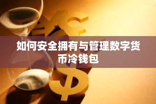 如何安全拥有与管理数字货币冷钱包